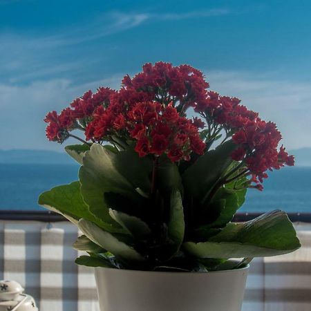 Apartment Paradise View Rijeka Exterior photo